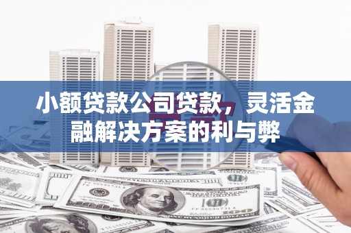 峨眉小额贷款公司贷款，灵活金融解决方案的利与弊