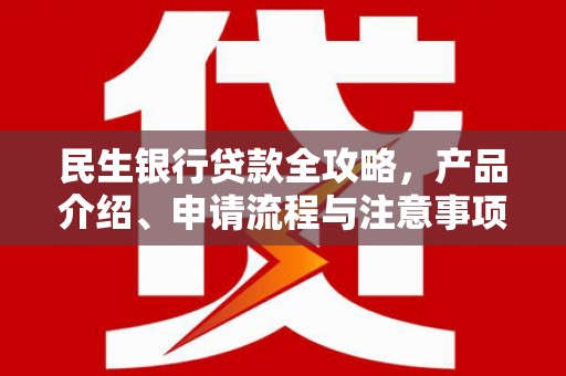 雅安民生银行贷款全攻略，产品介绍、申请流程与注意事项